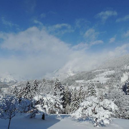 Aubauer Villa Bischofshofen Dış mekan fotoğraf