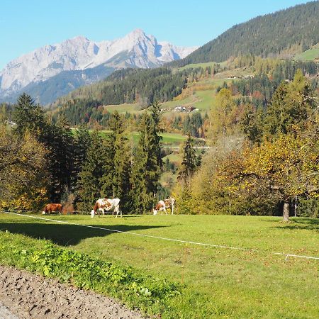 Aubauer Villa Bischofshofen Dış mekan fotoğraf