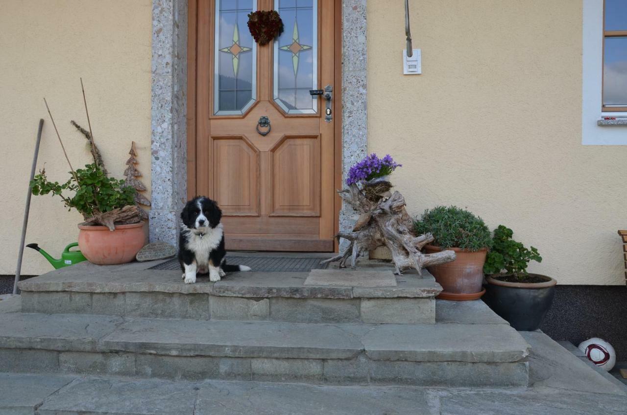 Aubauer Villa Bischofshofen Dış mekan fotoğraf
