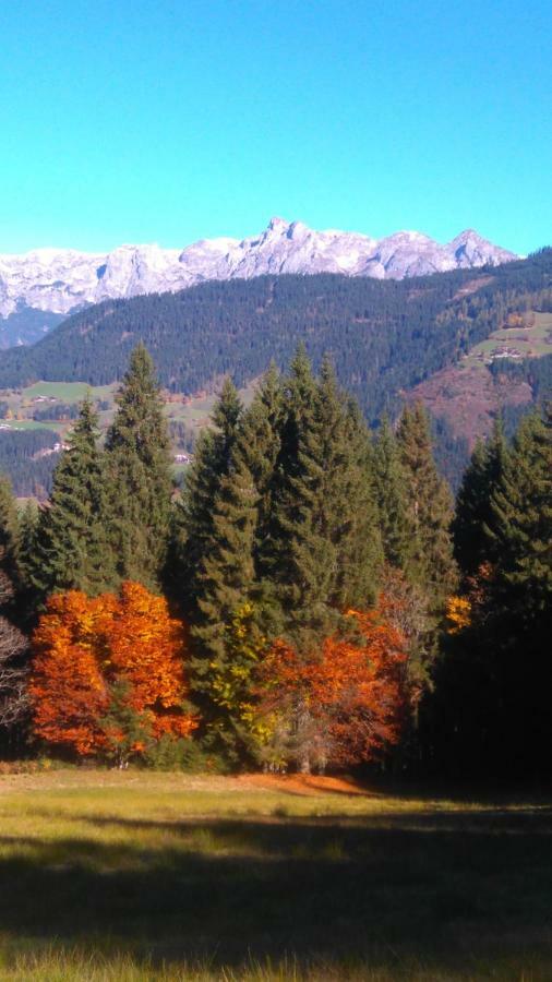 Aubauer Villa Bischofshofen Dış mekan fotoğraf
