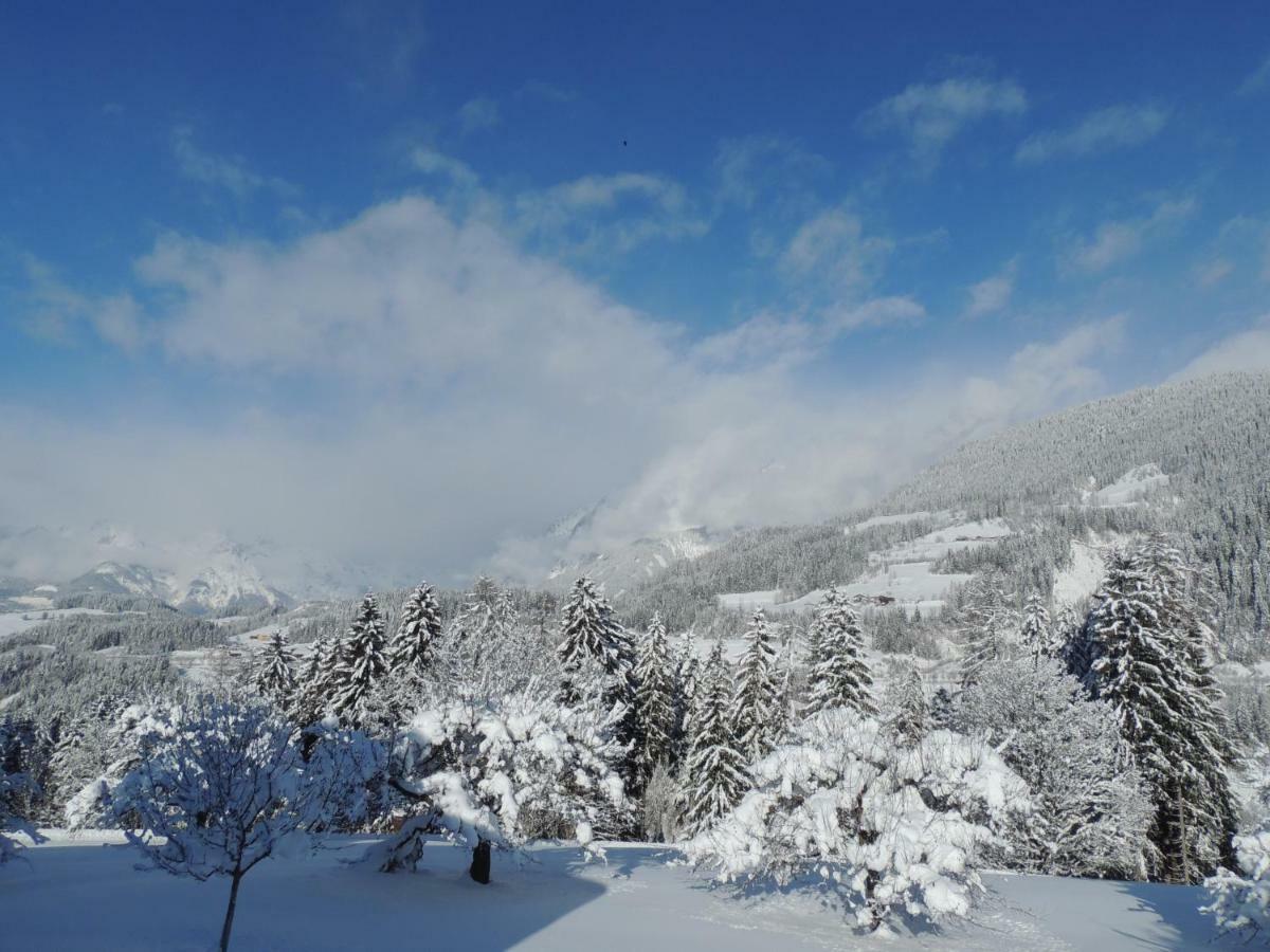 Aubauer Villa Bischofshofen Dış mekan fotoğraf